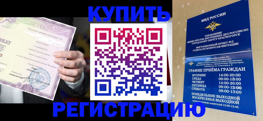 временная регистрация собственник в Архангельской области